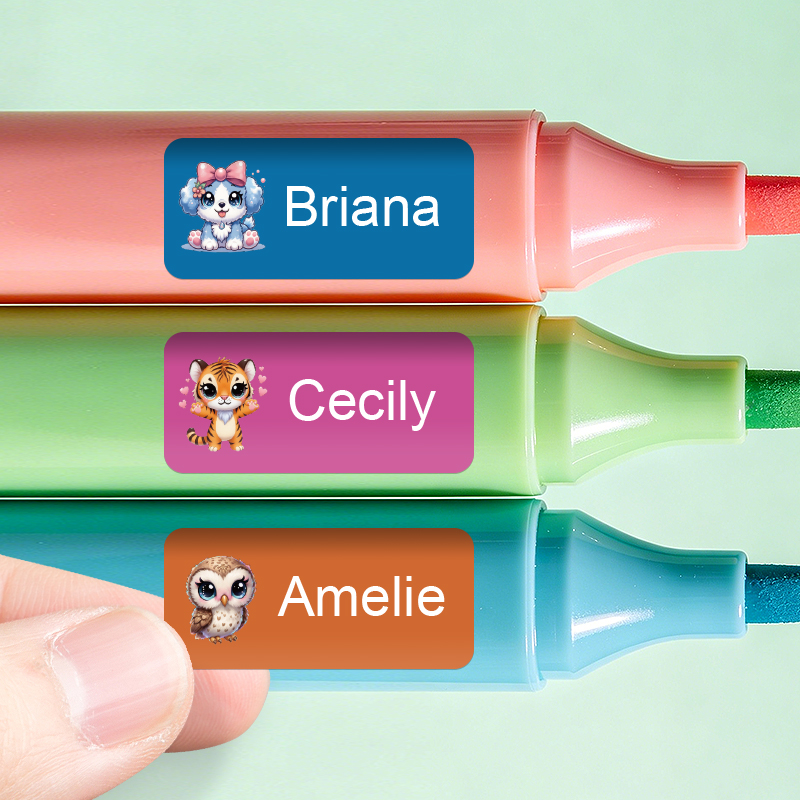 ‌Personalized Name Stickers -  - Name Sports Equipment 评论和价格